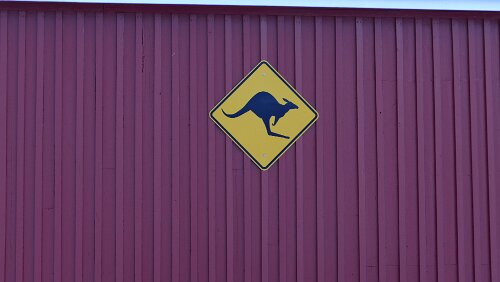 Longyearbyen Ich denke, bevor man hier einem Känguru begegnet ist man schon mehrmals vom Eisbär verspeisst worden