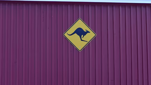 Longyearbyen Ich denke, bevor man hier einem Känguru begegnet ist man schon mehrmals vom Eisbär verspeisst worden