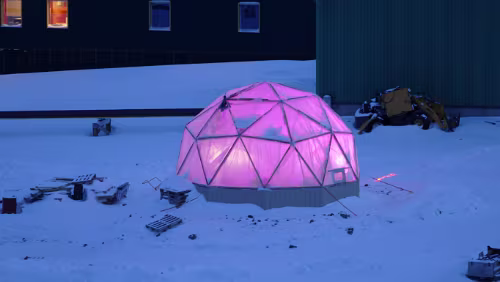 Longyearbyen Ein Gewächshaus für Küchenkräuter