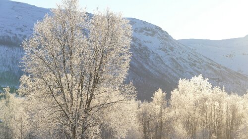 Tromsø – Svolvær Am Bardu Bygdetun