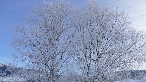 Trondheim – Oslo Glomma eller Glåma (norrønt: Gláma «den bleikblå» er Norges lengste elv, 619,9 kilometer lang.