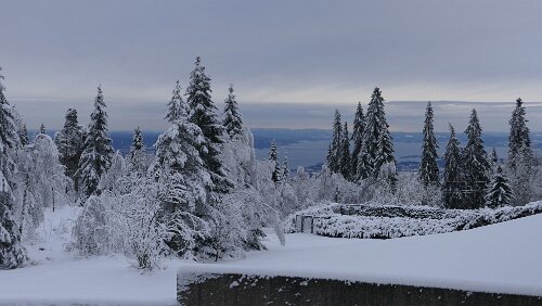 Trondheim – Oslo Blick vom Hotel Voksenåsen auf Oslo