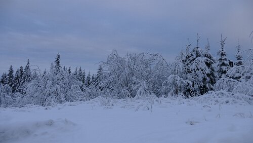 Trondheim – Oslo Frischer Schnee am Hotel Voksenåsen