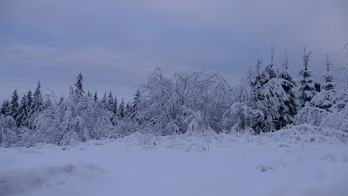 Trondheim – Oslo Frischer Schnee am Hotel Voksenåsen