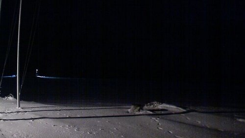 Svalbard WebCams Vollbild - Hornsund Fiord