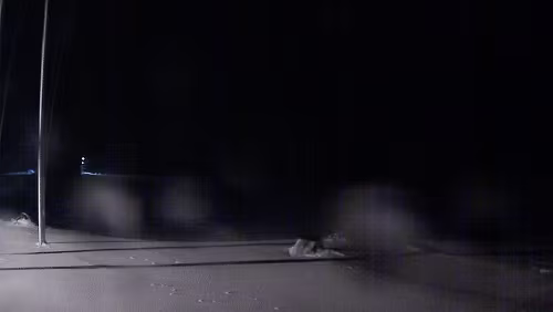 Svalbard WebCams Vollbild - Hornsund Fiord