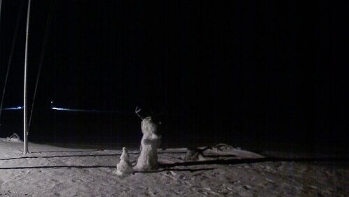 Svalbard WebCams Vollbild - Hornsund Fiord