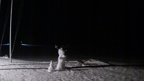 Svalbard WebCams Vollbild - Hornsund Fiord