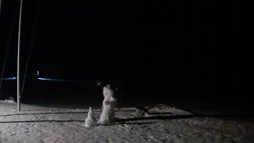 Svalbard WebCams Vollbild - Hornsund Fiord