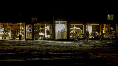 Svalbard FARE: Isbjørnen er en av svalbardlivets farer, men her er en utstoppet versjon plassert i et butikkvindu. - Foto: Kjersti Strømmen / NRK