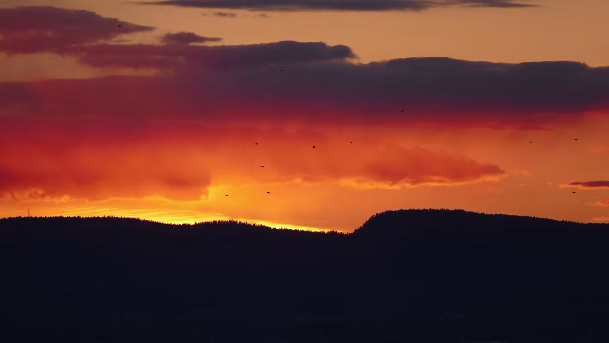 18.04.2017 Malmö – Oslo