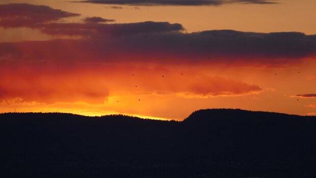 18.04.2017 Malmö – Oslo