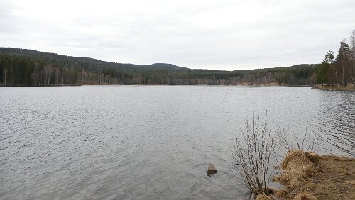 Oslo Am Sognsvann
