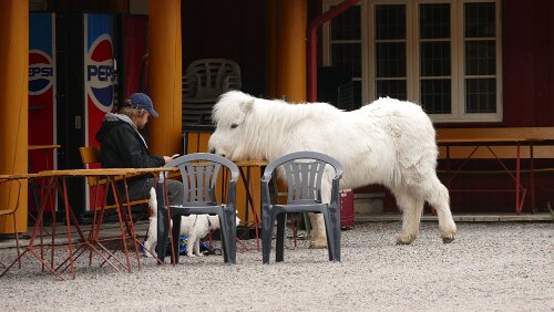 Oslo Ullevålseter er et knutepunkt for turveier, skiløyper og stier i den sørlige delen av Nordmarka. Det går lysløype til Ullevålseter både fra Sognsvann og...