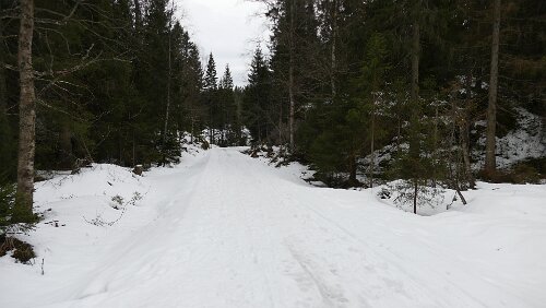 Oslo Einmal um die Ecke laufen und es liegt Schnee