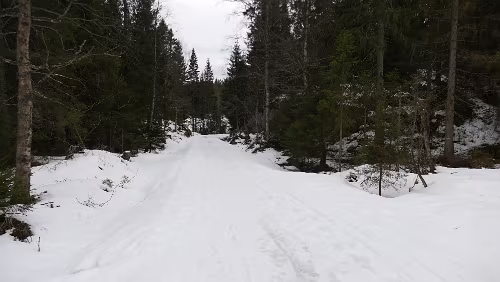 Oslo Einmal um die Ecke laufen und es liegt Schnee