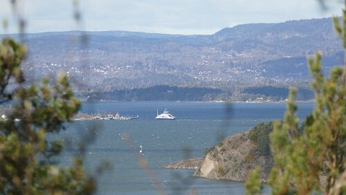 Oslo Das könnte die Fährverbindung nach Nesoddtangen sein