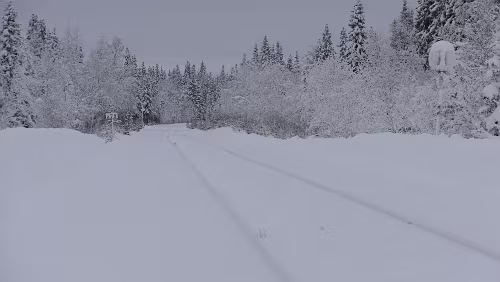 Östersund – Fauske An der Haltestelle Fiandberg