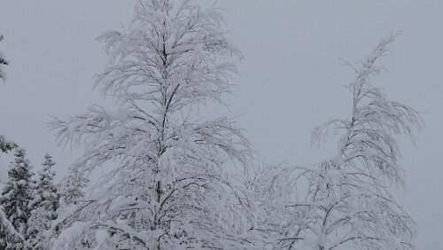 Östersund – Fauske An der Haltestelle Fiandberg