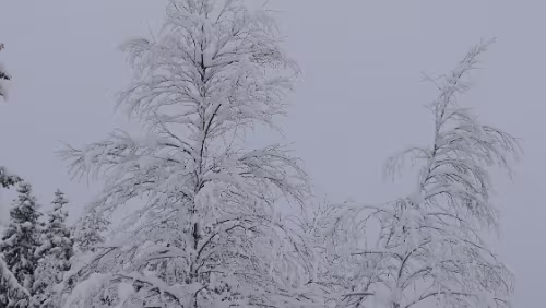 Östersund – Fauske An der Haltestelle Fiandberg