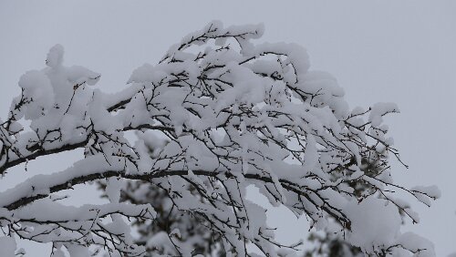 Östersund – Fauske An der Haltestelle Fiandberg