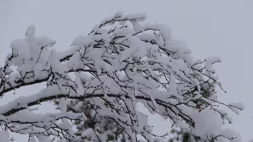 Östersund – Fauske An der Haltestelle Fiandberg