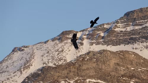 Fauske – Tromsø Auf der Fahrt nach Tromsø