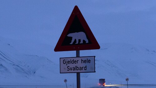 „Longyearbyen in a nutshell“ Tour „Gjelder hele Svalbard“ - „Gilt auf ganz Spitzbergen“. Das Schild steht am Straßenrand der Straße/Piste die von Longyearbyen in Richtung Osten führt, zur Gruve...