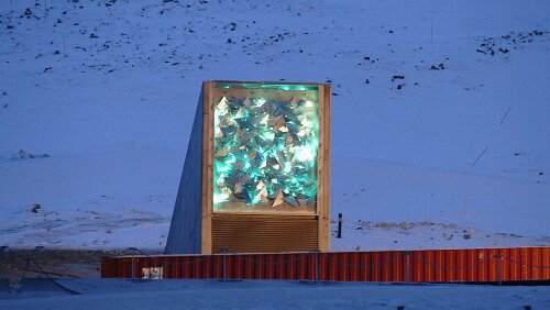 „Longyearbyen in a nutshell“ Tour Svalbard globale frøhvelv er en frøbank i fjellet Platåberget, i nærheten av Longyearbyen på Spitsbergen, Svalbard. Leider wird dort gebaut und man kommt näher...