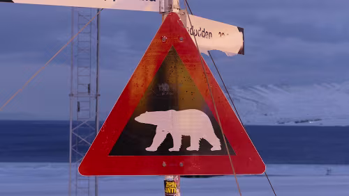 Longyearbyen – Tromsø Svalbard lufthavn, Longyear (IATA: LYR, ICAO: ENSB) er en sivil flyplass på Svalbard.