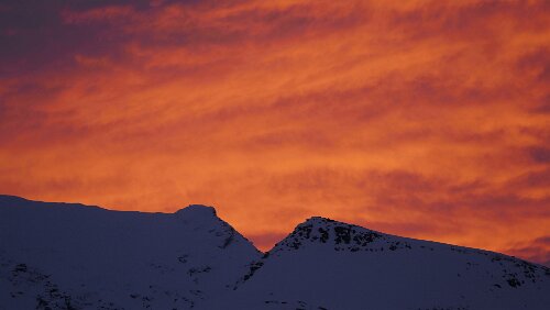 Tromsø – Saltstraumen Feuriger Sonnenaufgang