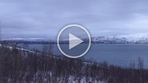 Saltstraumen – Trondheim Unterwegs auf dem Fylkesvei 812, Blick auf den Misværfjorden