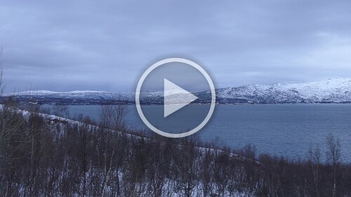 Saltstraumen – Trondheim Unterwegs auf dem Fylkesvei 812, Blick auf den Misværfjorden