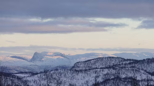 Saltstraumen – Trondheim An der höchsten Stelle des Fylkesvei 812, gut 500 m.o.h.