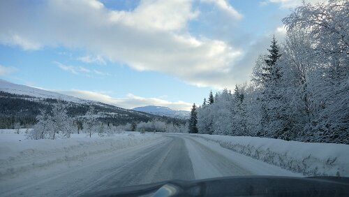 Saltstraumen – Trondheim Ungefähr auf halber Tagesetappe