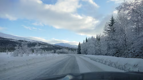 Saltstraumen – Trondheim Ungefähr auf halber Tagesetappe