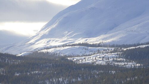Saltstraumen – Trondheim Der Øvre Svenningvatn