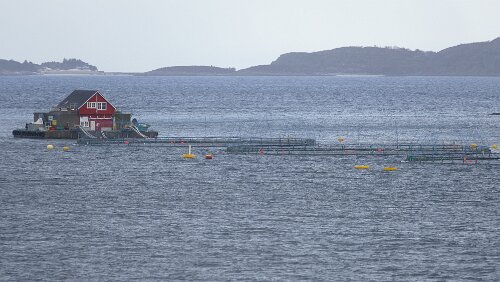 Trondheim – Bergen Eine der unzähligen Fischfarmen an der Küste