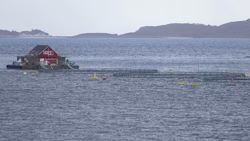 Trondheim – Bergen Eine der unzähligen Fischfarmen an der Küste