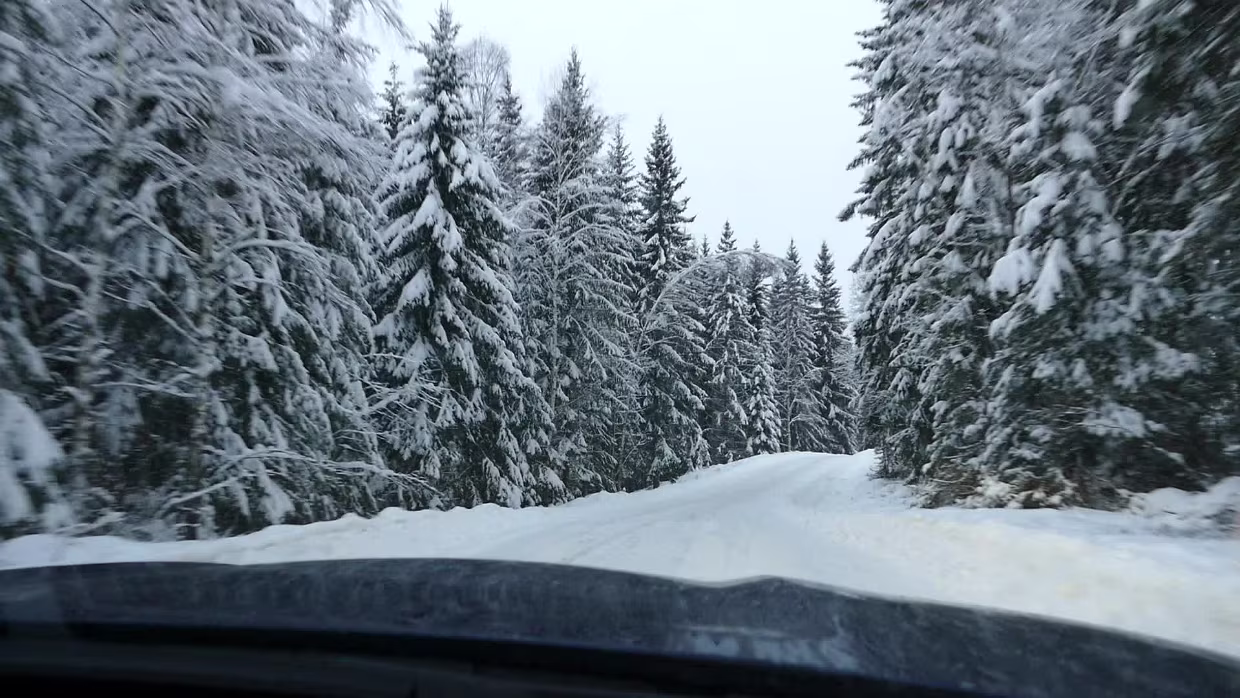 27.01.2019 Malmö – Sunne