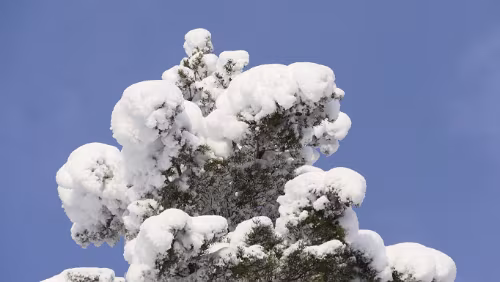 Östersund – Puoltikasvaara Schnee satt