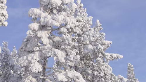 Östersund – Puoltikasvaara Schnee satt