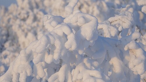 Puoltikasvaara – Tromsø Alles ist erstarrt