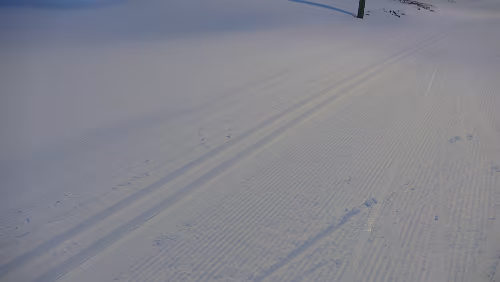 Longyearbyen Skilanglauf ist möglich 😎