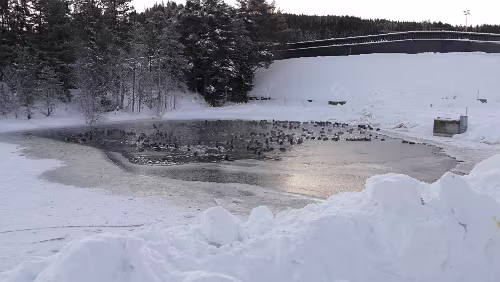 Trondheim – Kristiansund Am Granåsen skisenter
