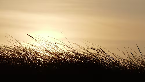 Hjørring – Vågsli Sonnenaufgang
