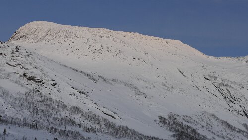 Storjord i Tysfjord – Tromsø Auf einer kleinen Anhöhe