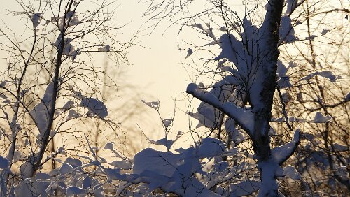 Tromsø – Vuollerim In Finnland