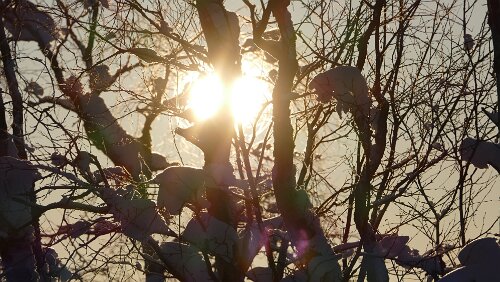 Tromsø – Vuollerim In Finnland