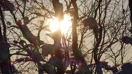 Tromsø – Vuollerim In Finnland